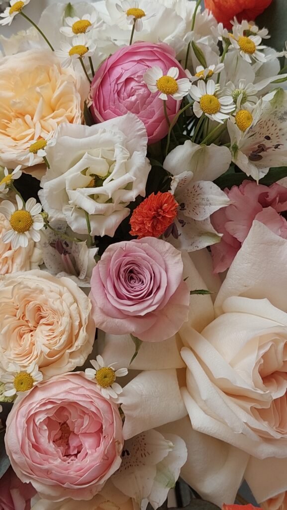 lada balakireva dupe